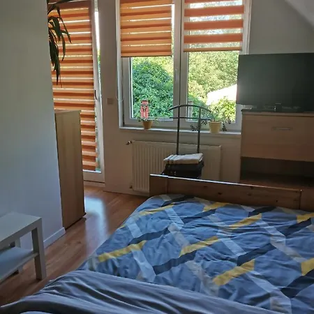 Forest Apartament *
