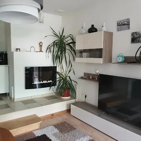 Apartament Forest Mysłakowice