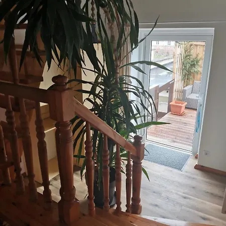 Forest Apartament *