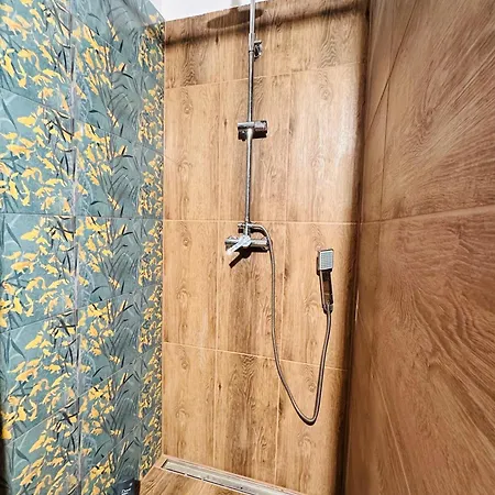 Forest * Myslakowice