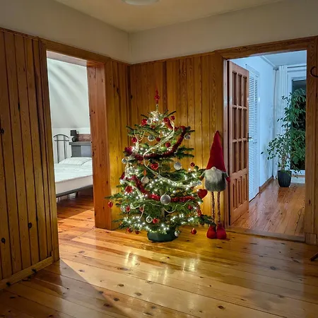 Forest * Mysłakowice