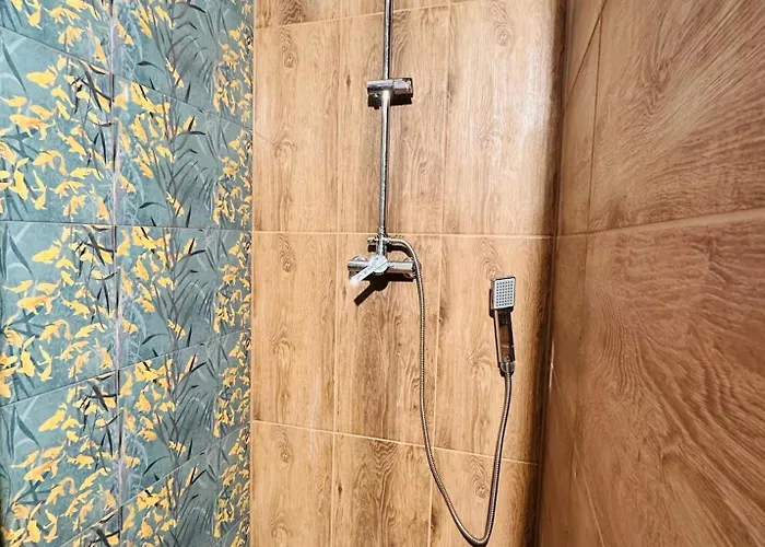 Forest * Myslakowice