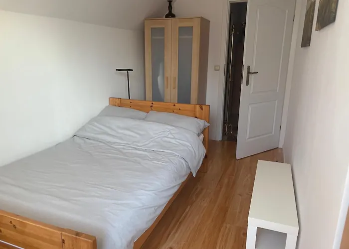 Apartment Forest Myslakowice