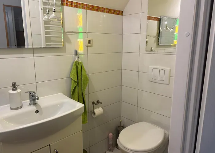 Forest * Myslakowice