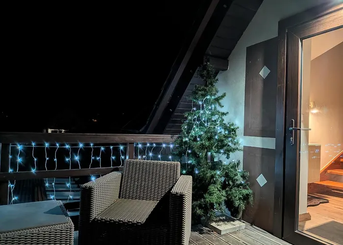 Forest * Mysłakowice