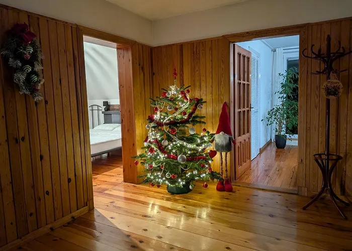 Forest * Myslakowice